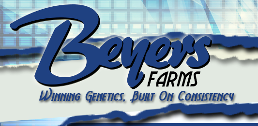 Beyers Farms : Sibley, IL